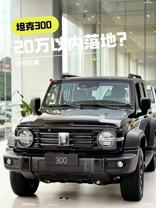 坦途克900克越野价格图片 坦途克300新款