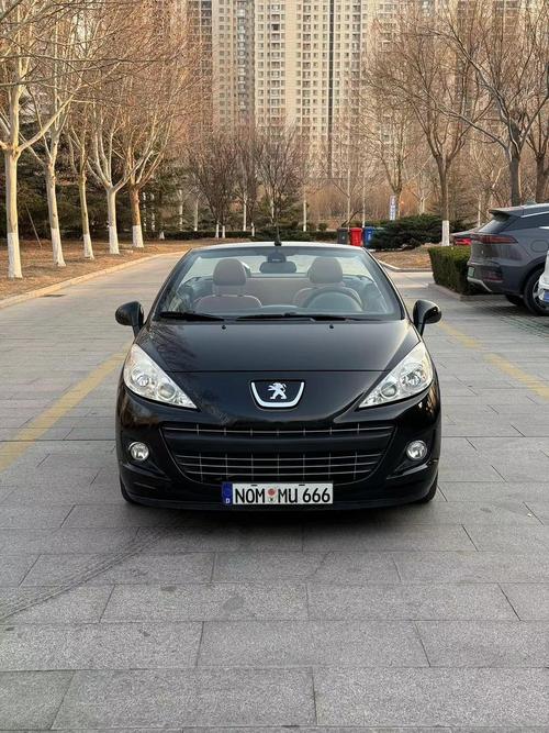 标志207参数 标致207cc参数